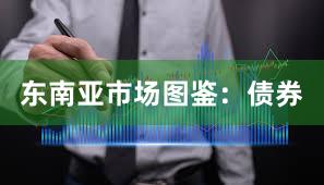 东南亚市场图鉴：债券